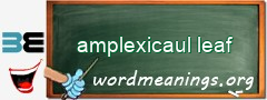 WordMeaning blackboard for amplexicaul leaf